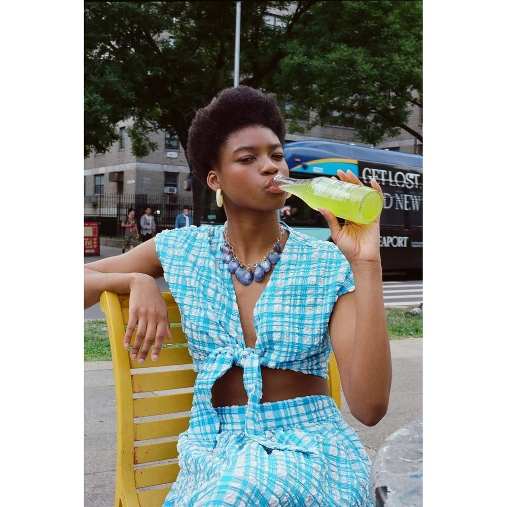 Wray NYC Knot Top Blue Gingham Sz L NWT  Tie Front Crop Seersucker Cottagecore